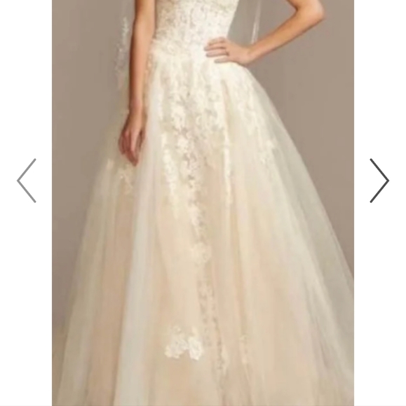 David's Bridal Wedding Gown - Picture 9 of 10